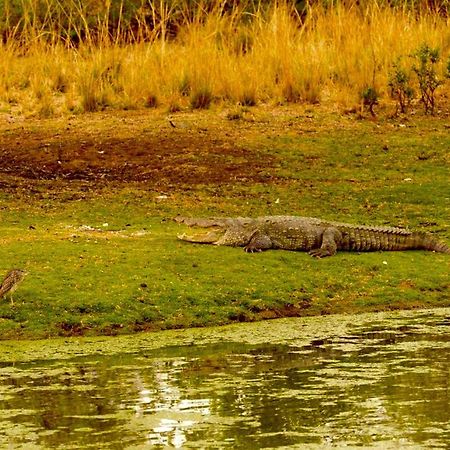 Aura Wildlife Camp And Resorts Marchula Dış mekan fotoğraf